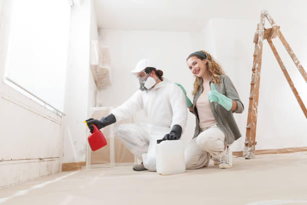Farmingville, NY Mold Removal Company